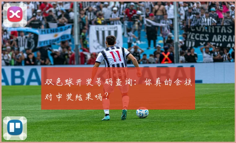 双色球开奖号码查询：你真的会核对中奖结果吗？