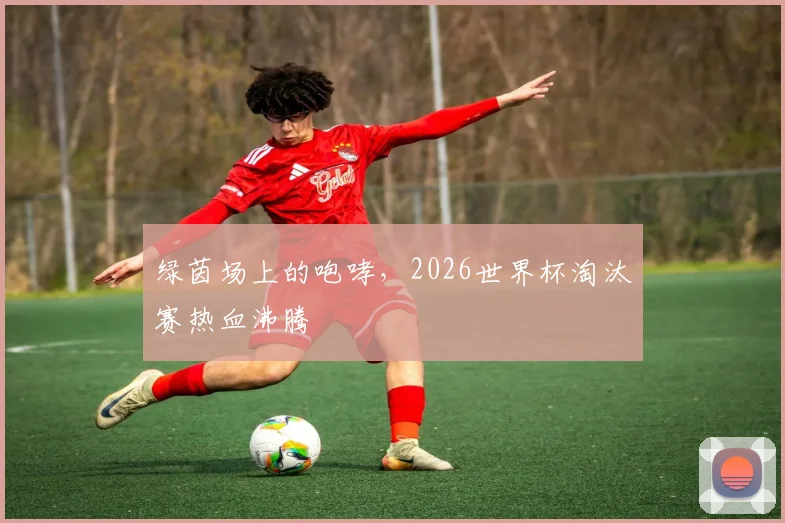 绿茵场上的咆哮，2026世界杯淘汰赛热血沸腾