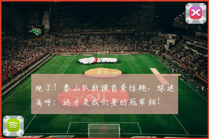 绝了！泰山队新援首秀惊艳，球迷高呼：这才是我们要的冠军相！