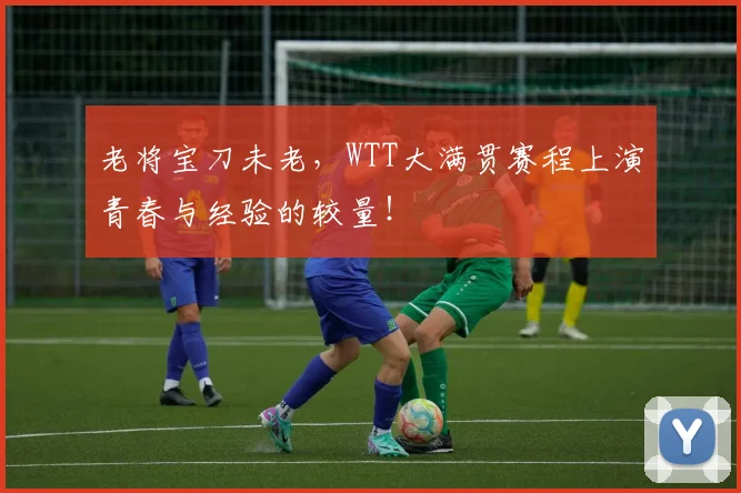 老将宝刀未老，WTT大满贯赛程上演青春与经验的较量！