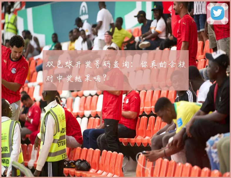 双色球开奖号码查询：你真的会核对中奖结果吗？