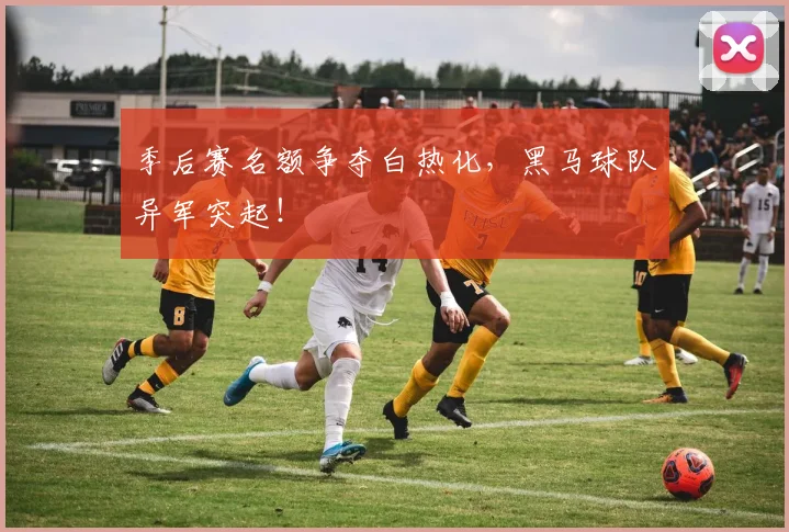 季后赛名额争夺白热化，黑马球队异军突起！