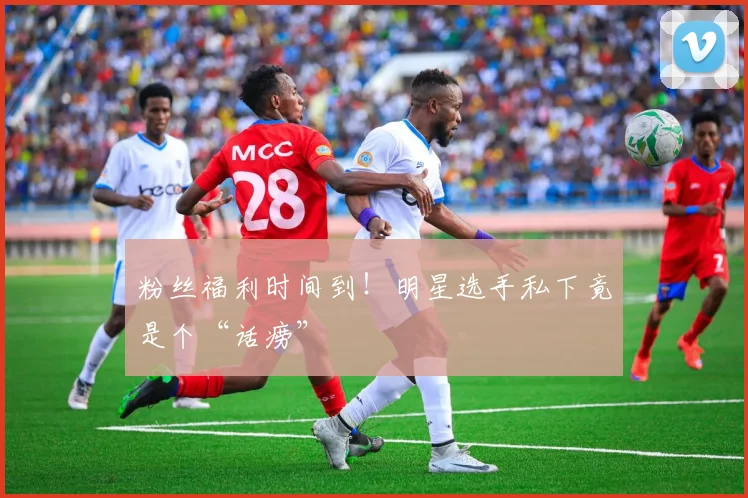 粉丝福利时间到！明星选手私下竟是个“话痨”